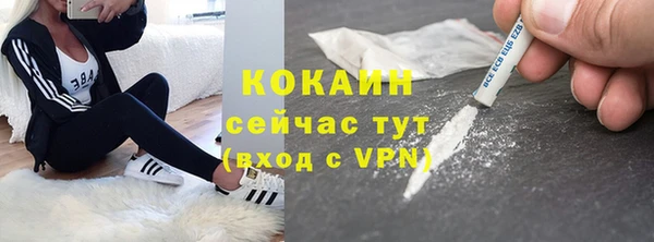 СК Елизово