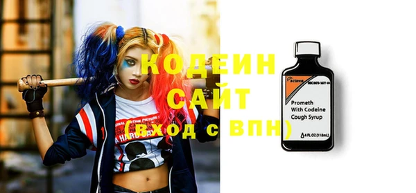 СК Елизово