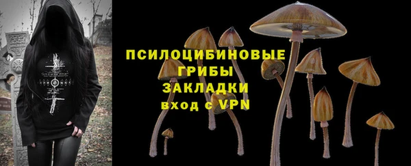 СК Елизово