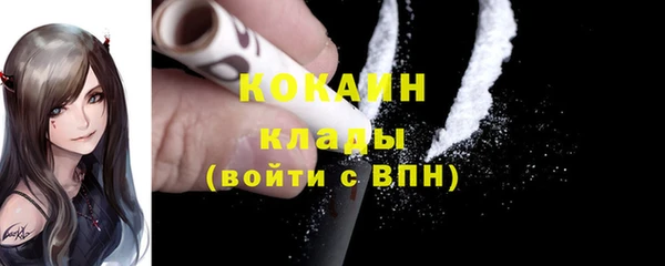 СК Елизово