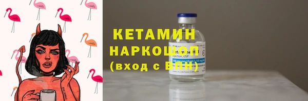 СК Елизово
