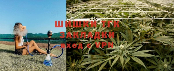 СК Елизово